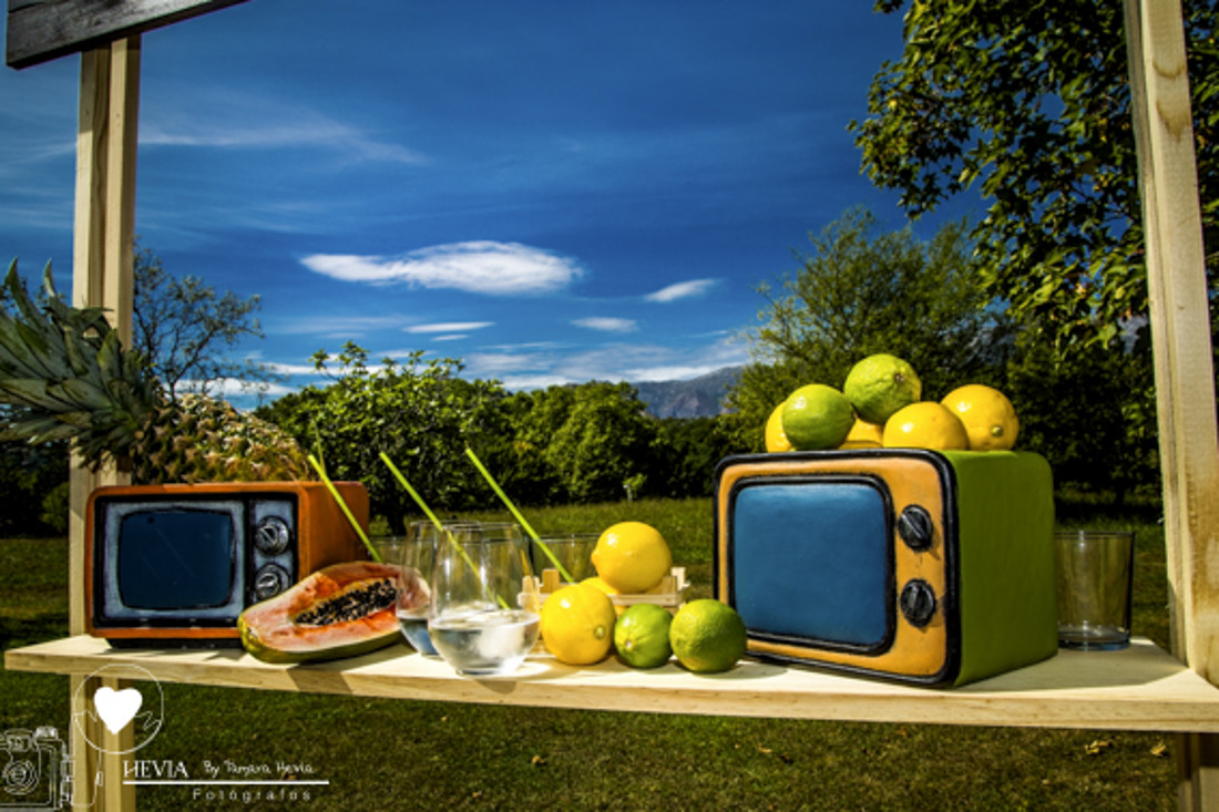 hevia_fotografos_tamara_hevia_fotografia_fotografos_arriondas_Palacio_de_coviella-60