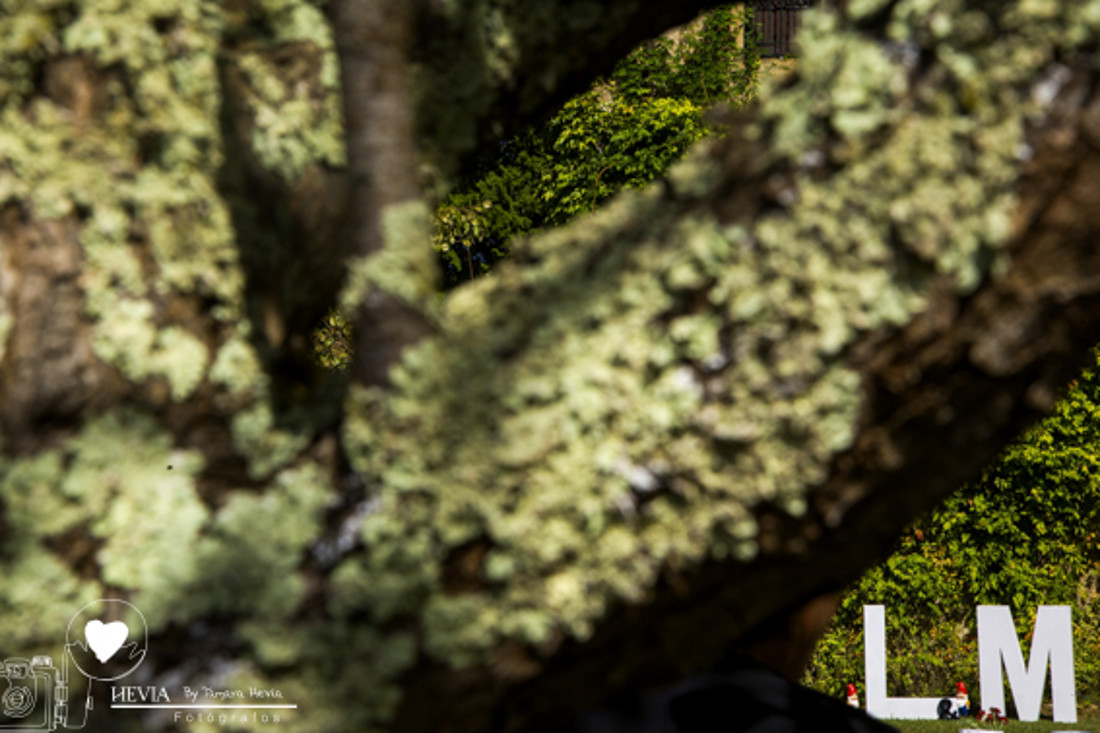 hevia_fotografos_tamara_hevia_fotografia_fotografos_arriondas_Palacio_de_coviella-72